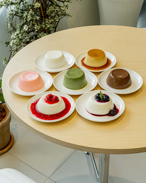 푸댕이네 사진