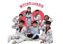용인대학사태권도