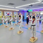 용인대학사태권도