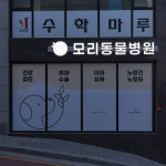 모리동물병원