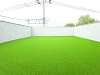 러닝독스테이 애견유치원 애견호텔