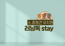 러닝독스테이 애견유치원 애견호텔