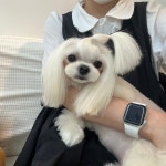 디어아공