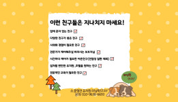 러닝독스테이 애견유치원 애견호텔