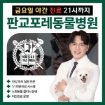 판교포레동물병원