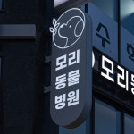모리동물병원