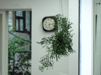 넵 카페 Nap.Studio.Cafe