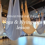 요가다움