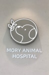 모리동물병원