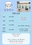 댕댕박사 애견유치원 호텔링