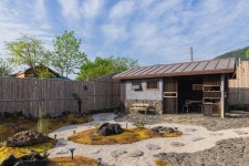 스테이 도담도담