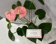 남천선하한의원