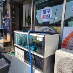 항구횟집