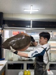 총각도매횟집