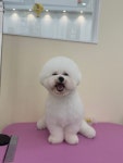 몽실몽실살롱