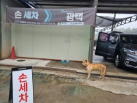 연천세차장