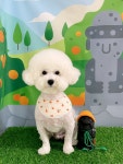 아이멍쥬