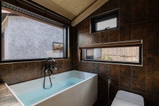 스테이 도담도담