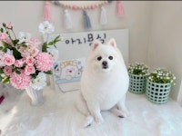 아지묭실