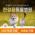 한걸음동물병원