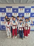 품태권도