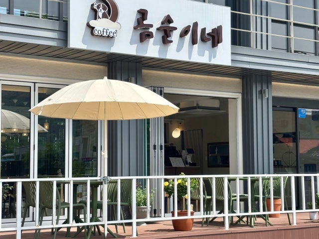 곰순이네
