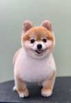 한스펫살롱