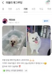 러블리 펫그루밍