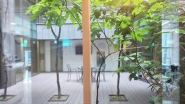 더미즈웰산부인과의원