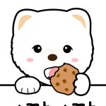 아짱아짱