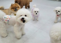 멍찌네하우스