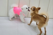 멍찌네하우스