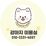 강아지미용실