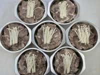 한우마을정육마트