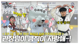 용인대 타이거즈 태권도