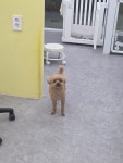 히히그루밍