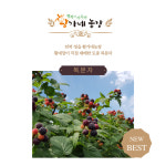 농업회사법인 황가네농장