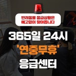 24시잠실ON동물의료센터