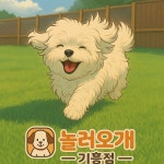 놀러오개 애견유치원 애견호텔 기흥점