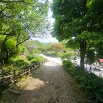 산사랑