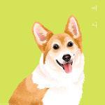 노블도그