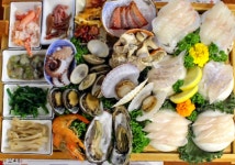 싱싱활어회센터