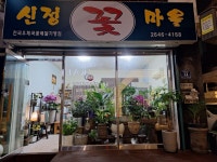 신정꽃마을