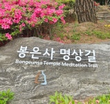 봉은사 명상길