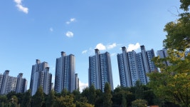 잠실금풍공인중개사사무소