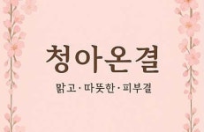 청아온결