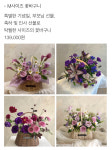 기젤리안플라워