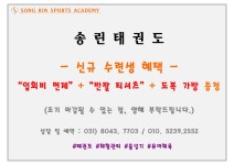 송린태권도장