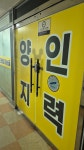 양지인력