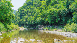 마이프렌드펜션